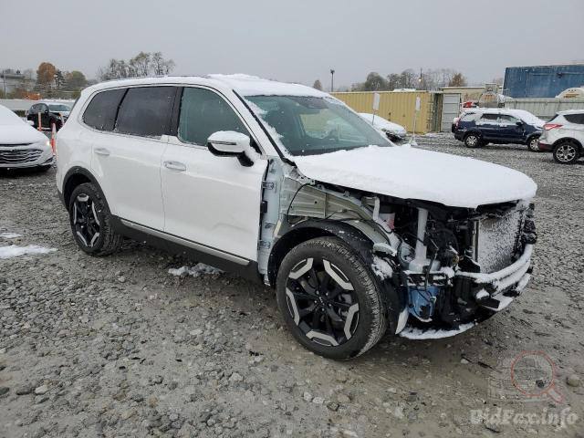 Kia Telluride S 2024 White 3.8L 6 vin: 5XYP6DGC1RG548455 - 5XYP6DGC1RG548455