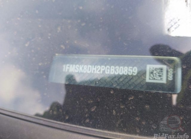 1FMSK8DH2PGB30859