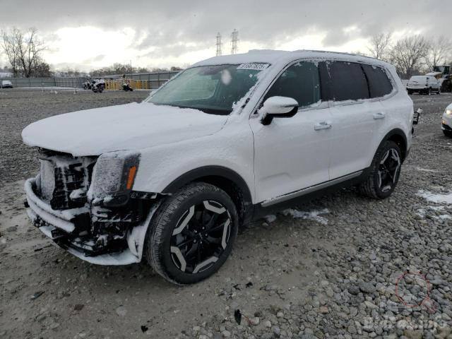 Kia Telluride S 2024 White 3.8L 6 vin: 5XYP6DGC1RG548455 - 5XYP6DGC1RG548455