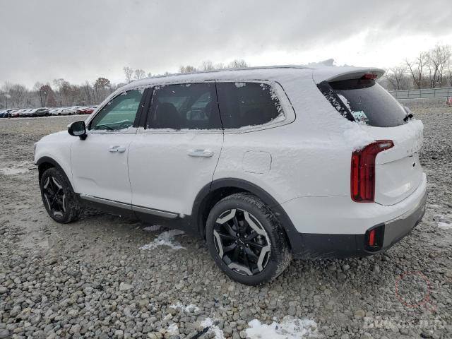 Kia Telluride S 2024 White 3.8L 6 vin: 5XYP6DGC1RG548455 - 5XYP6DGC1RG548455