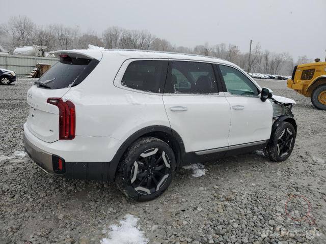Kia Telluride S 2024 White 3.8L 6 vin: 5XYP6DGC1RG548455 - 5XYP6DGC1RG548455
