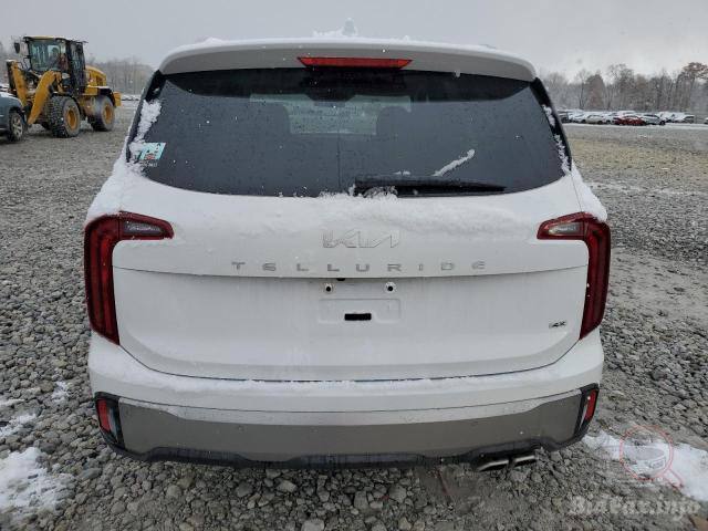 Kia Telluride S 2024 White 3.8L 6 vin: 5XYP6DGC1RG548455 - 5XYP6DGC1RG548455