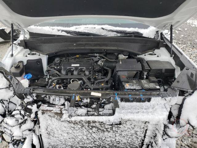 Kia Telluride S 2024 White 3.8L 6 vin: 5XYP6DGC1RG548455 - 5XYP6DGC1RG548455